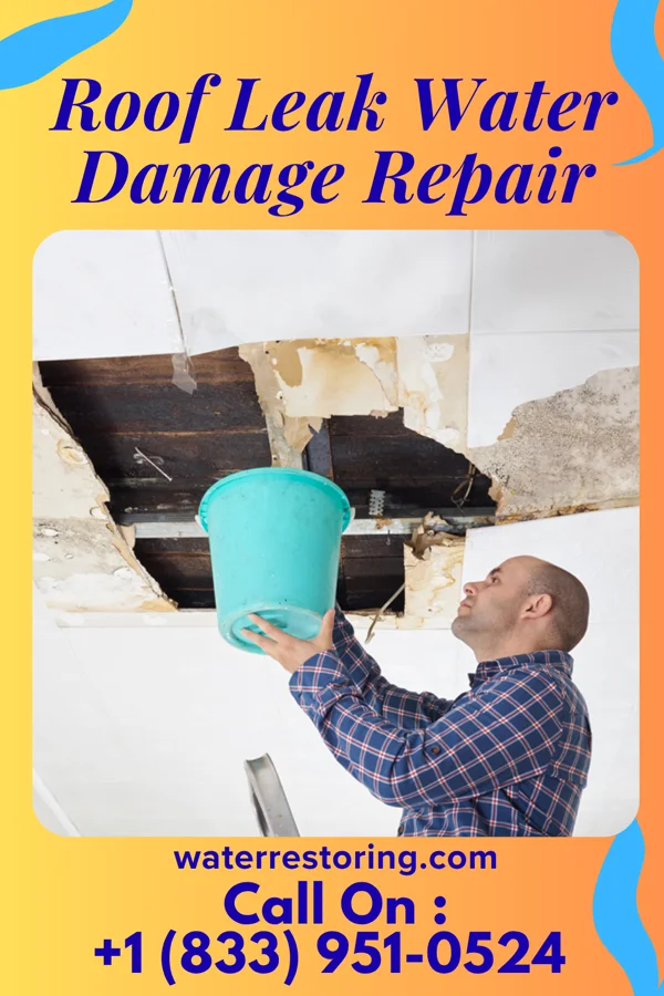 Roof Leak Water Damage Repair in St. Mary of the Woods, IN